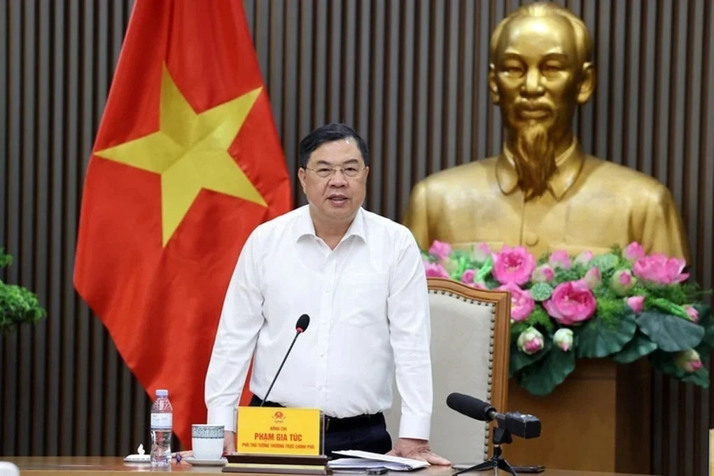 Ph&oacute; Thủ tướng Thường trực Phạm Gia T&uacute;c c&oacute; chỉ đạo mới về xăng E10 - 1