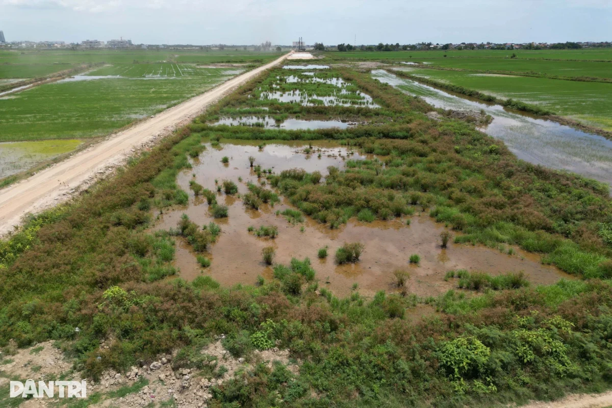 Đường nối sân bay chìm giữa ruộng nước, nhà thầu vắng bóng trên công trường - 4