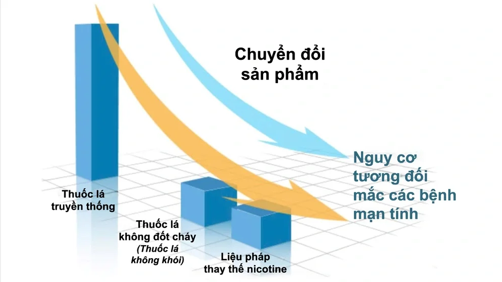 Cuộc cách mạng thị trường nicotine và quá trình tái định hình chính sách toàn cầu - 2