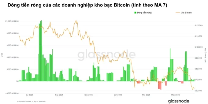 Dòng tiền ròng của các doanh nghiệp kho bạc Bitcoin yếu đi hẳn trong những tuần gần đây. Nguồn: Glassnode