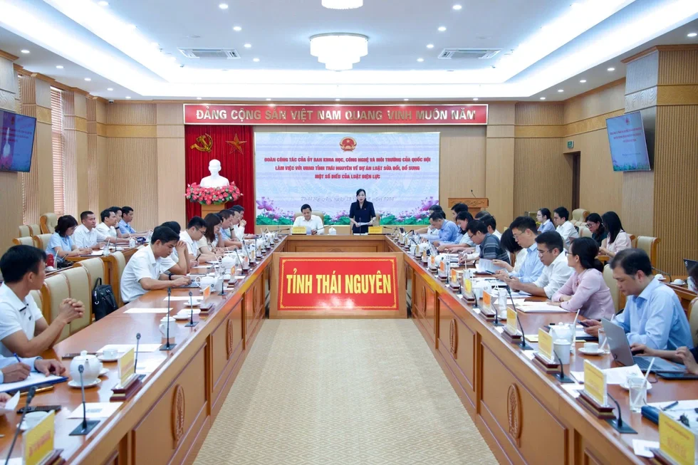 Đề xuất quan trọng khi sửa Luật Điện lực nhằm phá thế độc quyền ngành điện - 2