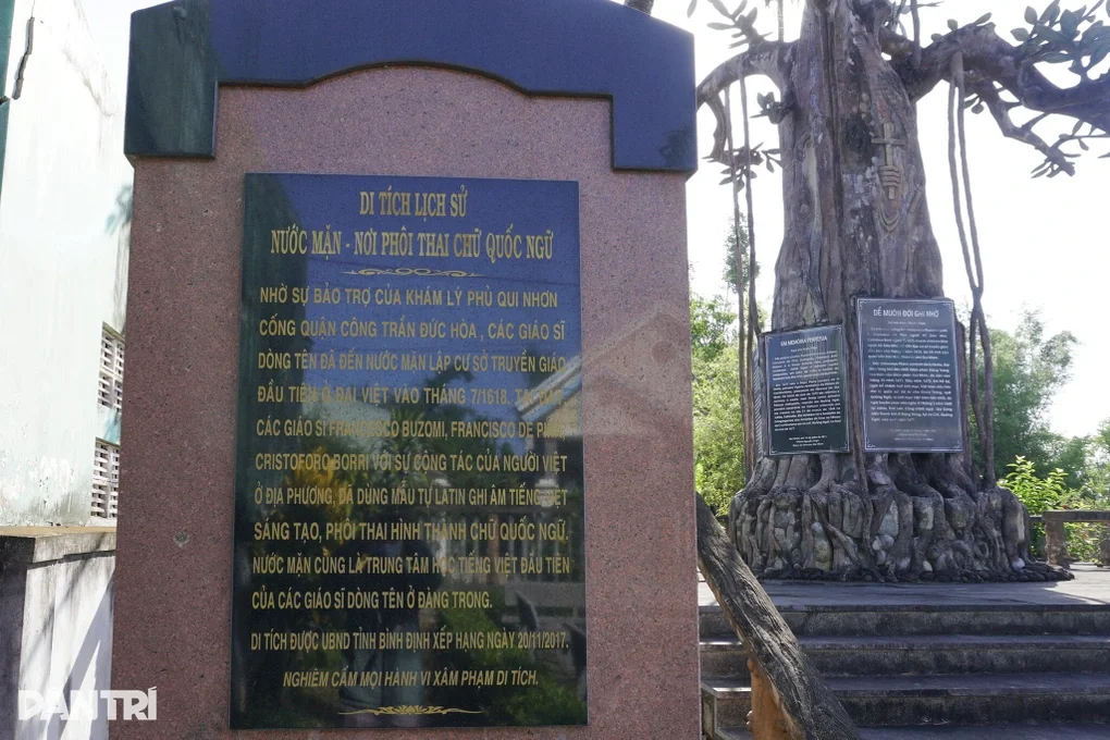 Giữ nguyên trạng cây đa cổ thụ bằng bê tông ở di tích Nước Mặn - 1