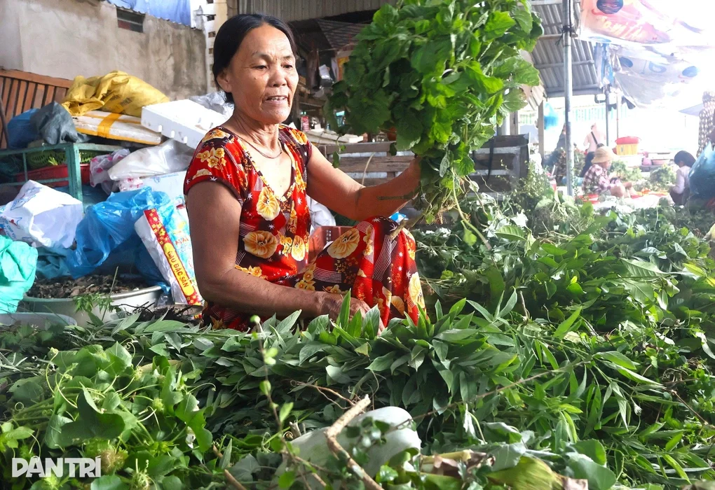 Độc đáo phiên chợ chỉ bán lá, họp một đợt trong năm - 3