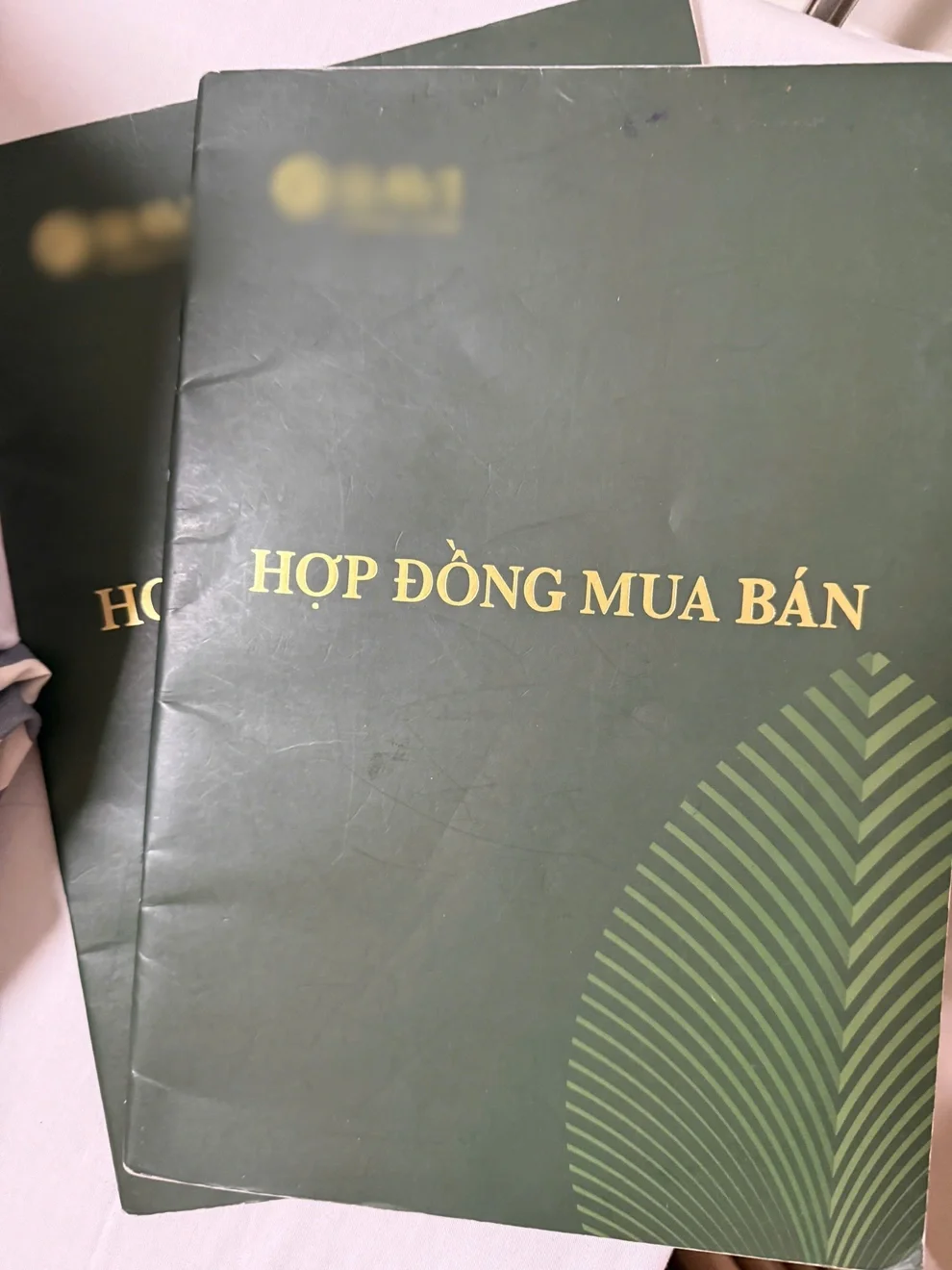 Mô hình sở hữu kỳ nghỉ thế giới vẫn phát triển, vào Việt Nam bị biến tướng - 3