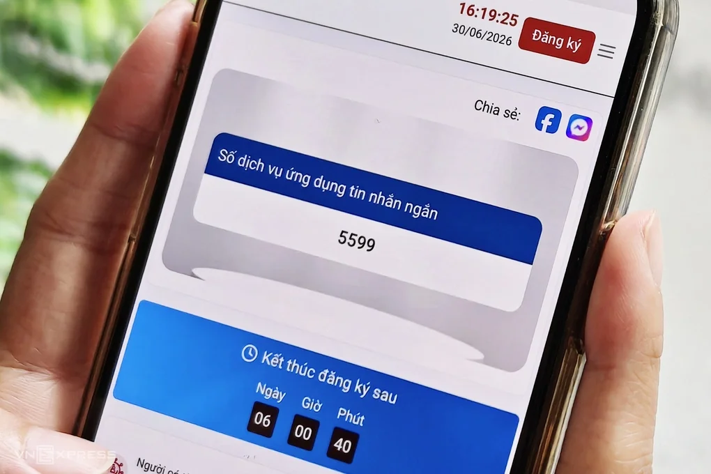 Thông tin về việc đấu giá số dịch vụ ứng dụng tin nhắn ngắn 5599. Ảnh: Trọng Đạt