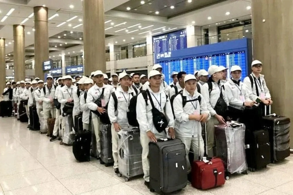 Bảo đảm an toàn cho gần 2.500 lao động Việt Nam làm việc tại Trung Đông - 2
