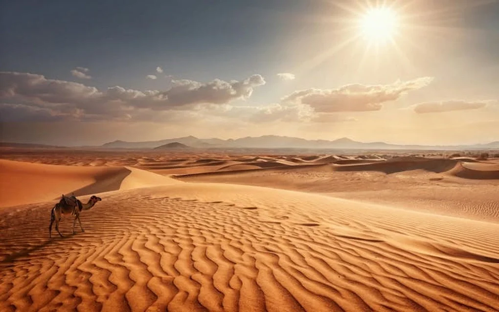 Đợt nắng nóng lịch sử khiến nước Pháp có lúc nóng hơn cả sa mạc Sahara - 2