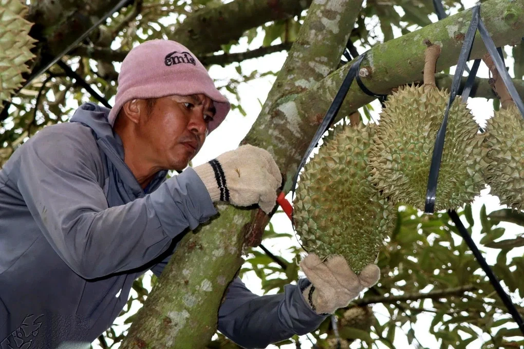 Kiếm tiền triệu mỗi ngày từ tiếng gõ dò quả tỷ đô - 1