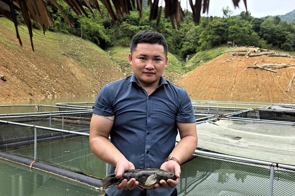 Nuôi cá trên lòng hồ thủy điện, nhiều hộ dân thu hàng trăm triệu đồng - 2