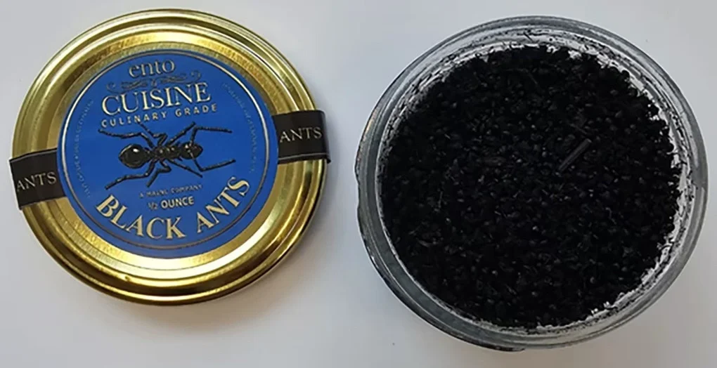 Loại kiến khô nhập khẩu từ Mỹ dùng trong món tráng miệng. Ảnh: Ministry of Food and Drug Safety
