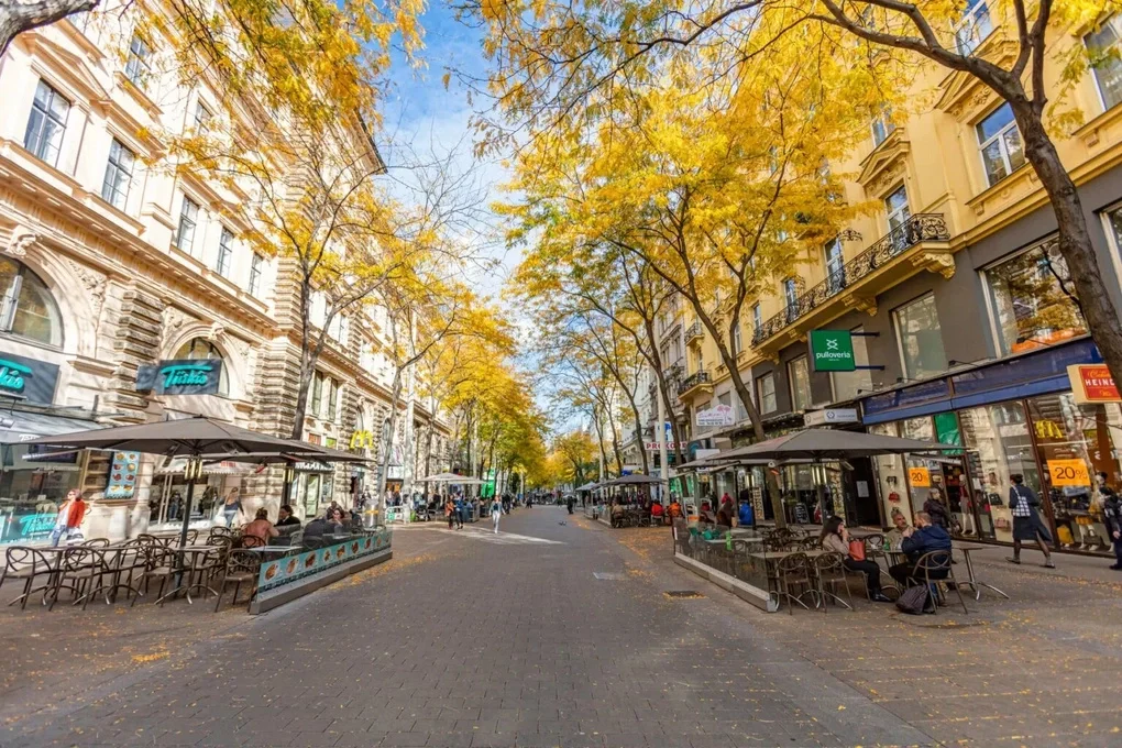 Mariahilfer Straße, con phố mua sắm nổi tiếng nhất ở Vienna, Áo. Ảnh: Expaticia