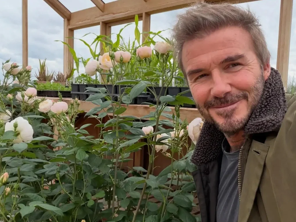 Cận cảnh ngôi nhà đồng quê nơi Beckham dùng để nuôi gà, trồng hoa - 1