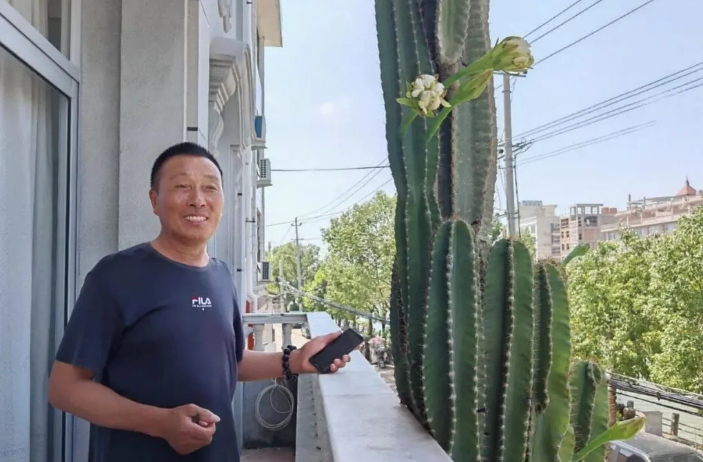 Chủ nhà ở Trung Quốc trồng cây xương rồng khổng lồ, cao đến ban công tầng 3 - 1