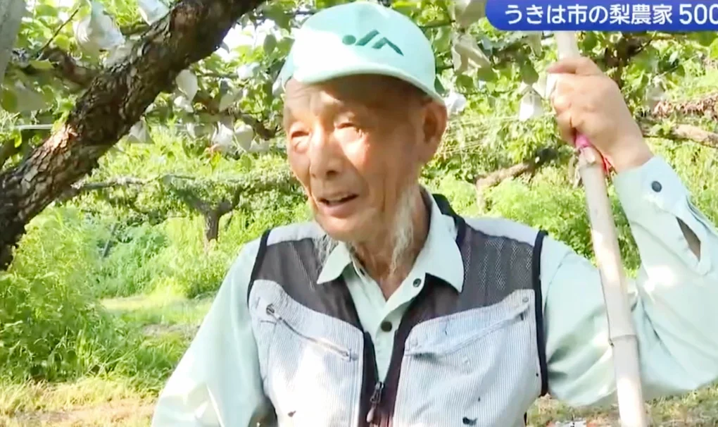 Kuniyoshi Sasaki, 79 tuổi trong vườn ở Ukiha  sau khi bị mất trộm. Ảnh: KBC