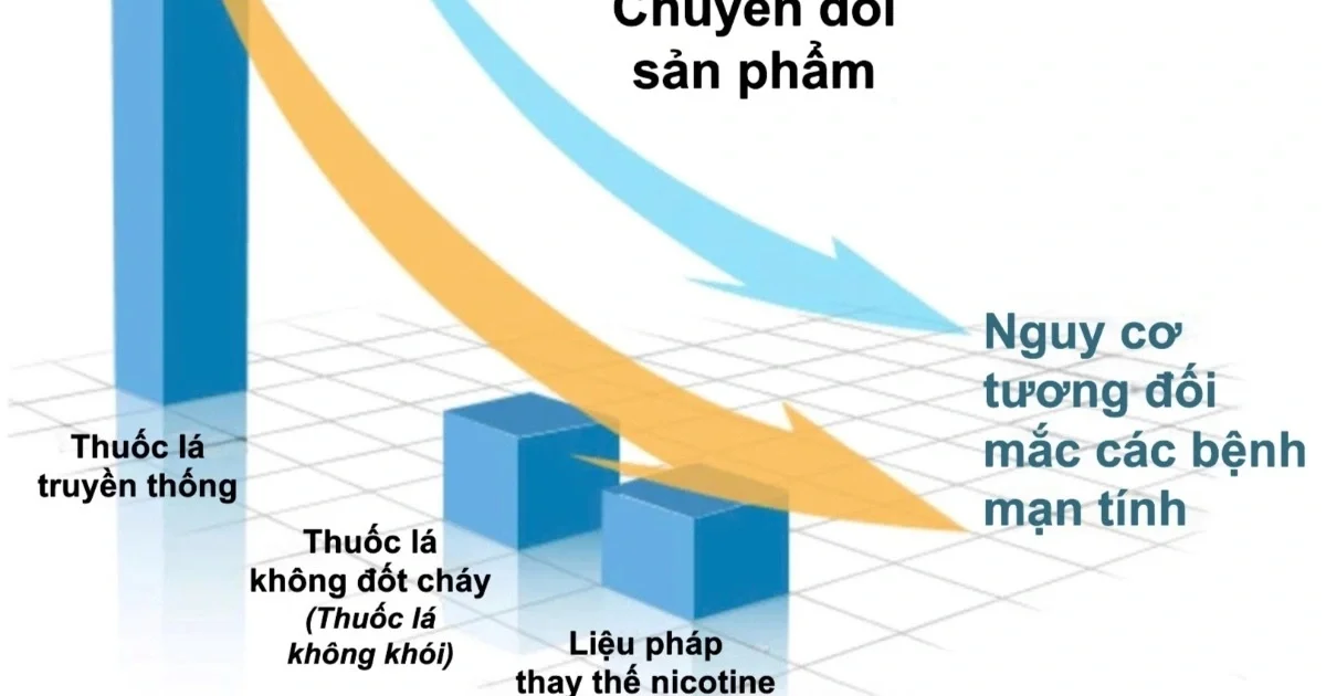 Sự chuyển mình của thị trường nicotine và tiến trình định hình lại chính sách trên thế giới