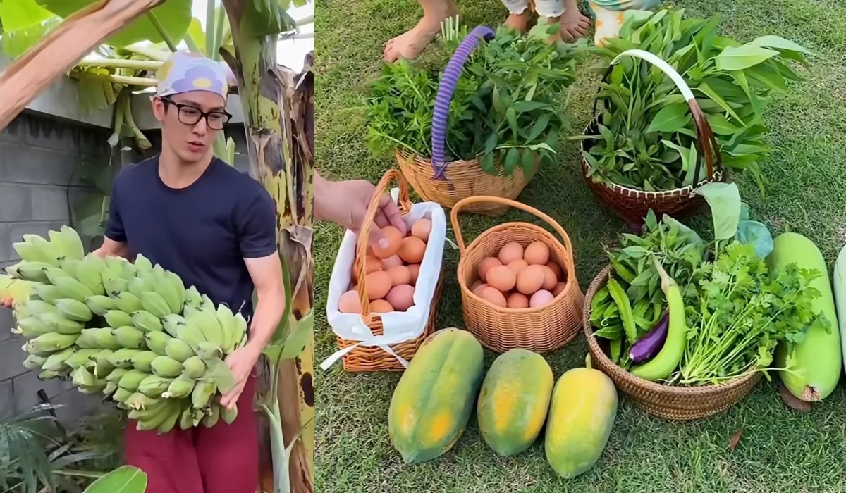 "Hoàng tử trong mơ" thu hoạch rau xanh, trứng tại khu vườn nhà