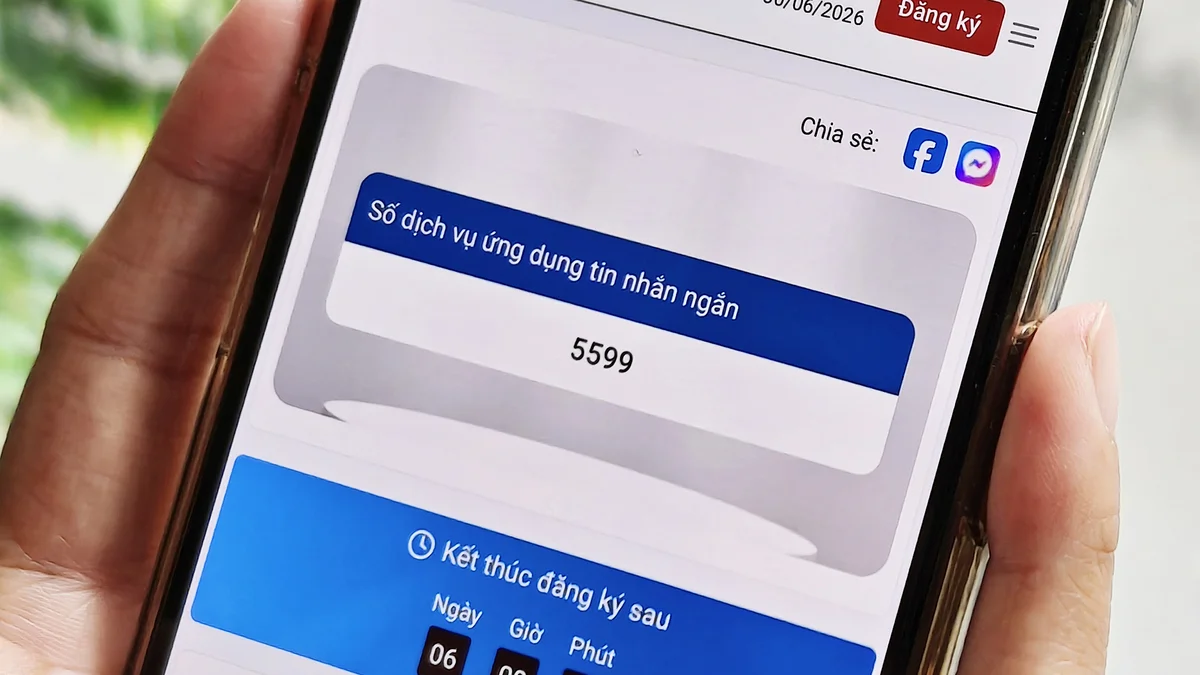 Hai mã số viễn thông chuẩn bị được tổ chức đấu giá