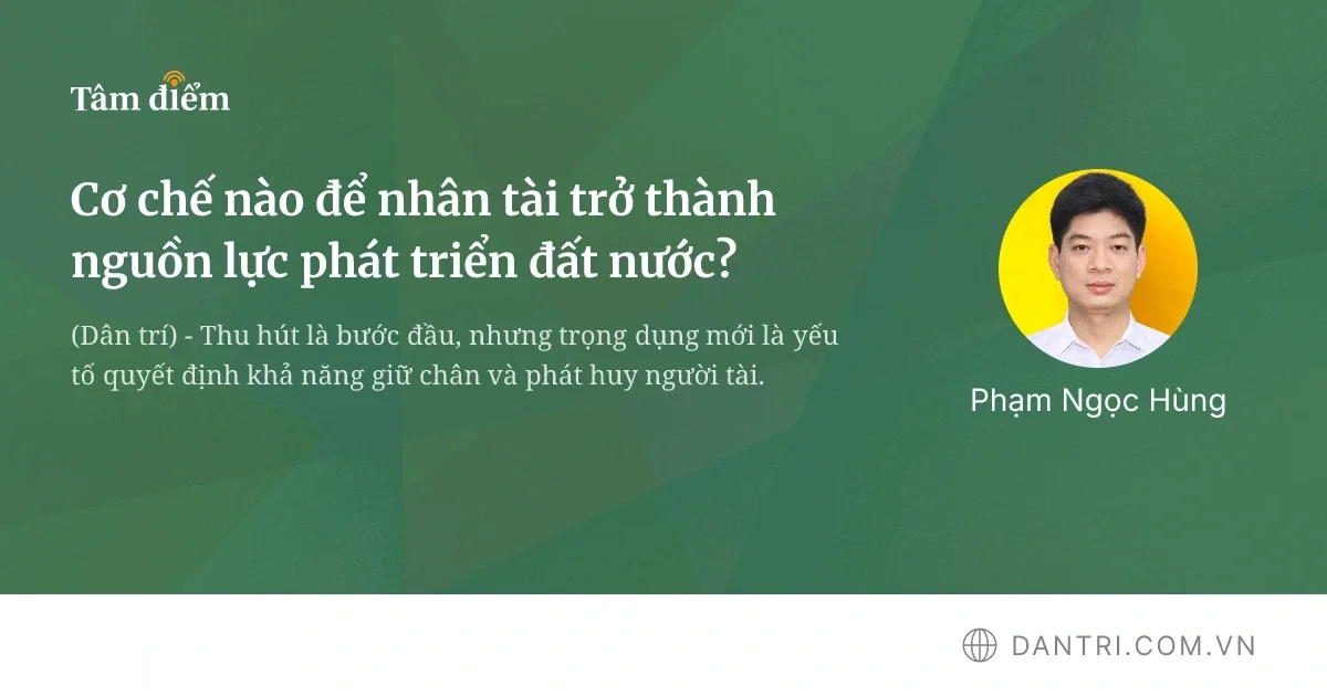 Làm sao để giải phóng năng lực nhân tài thành động lực thúc đẩy quốc gia?
